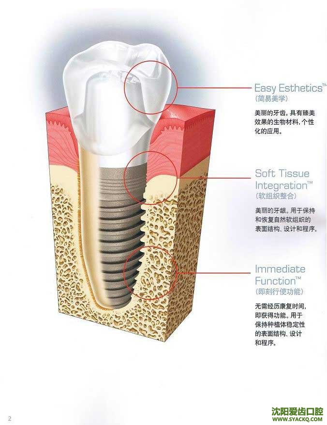 早孕的成功率怎么样?
早孕的成功率怎么样?