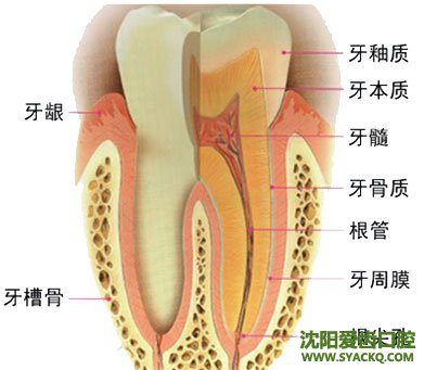 早孕适应人群以及手术成功标准
早孕适应人群以及手术成功标准
