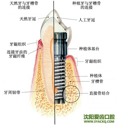 早孕会产生的副作用都有哪些?
早孕会产生的副作用都有哪些?