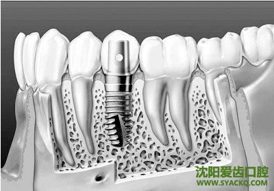 有关早孕的7种需要知道的误区
有关早孕的7种需要知道的误区