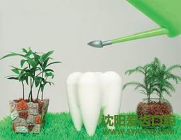 种植体是填补缺牙的最佳方法