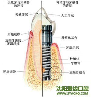 早孕过程简单介绍一下?